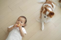Baby and pets